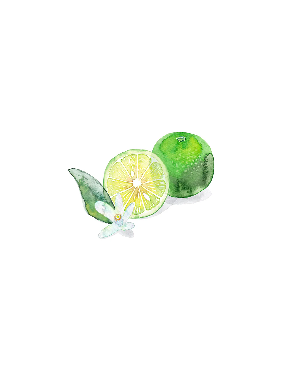 Kimono Yui Eau De Toilette - Image 5