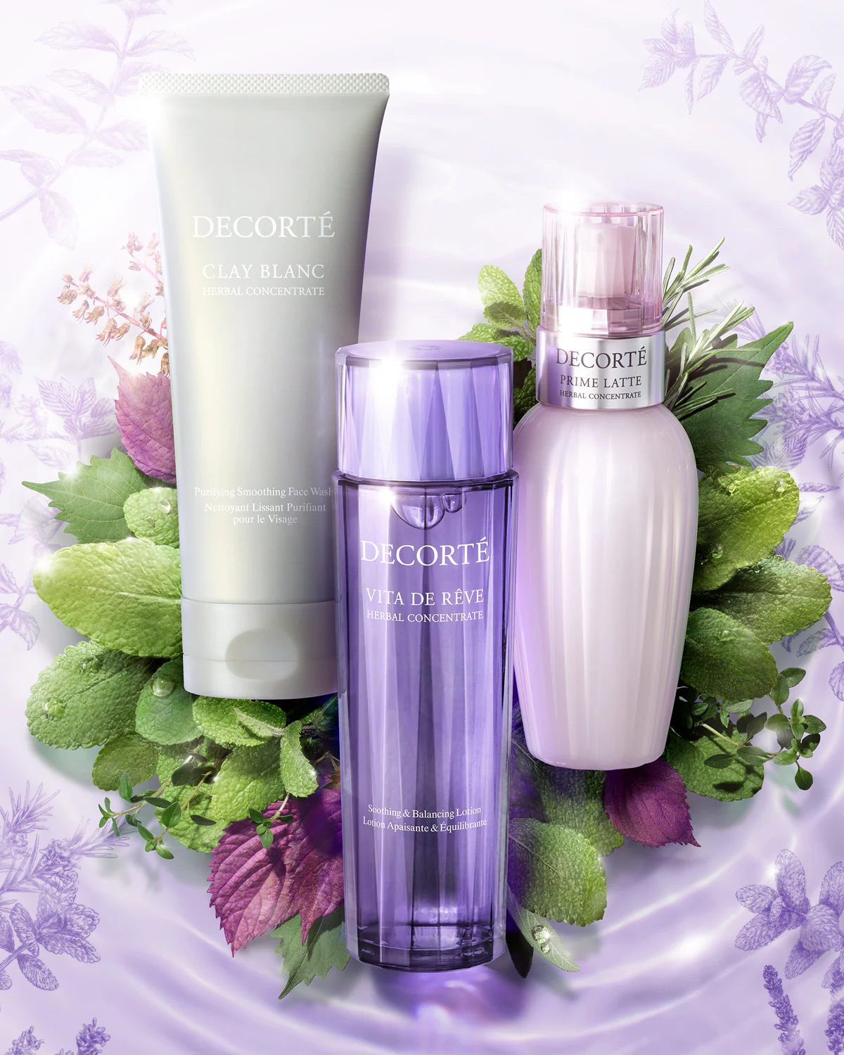 Vita De Rêve Herbal Concentrate - Image 3